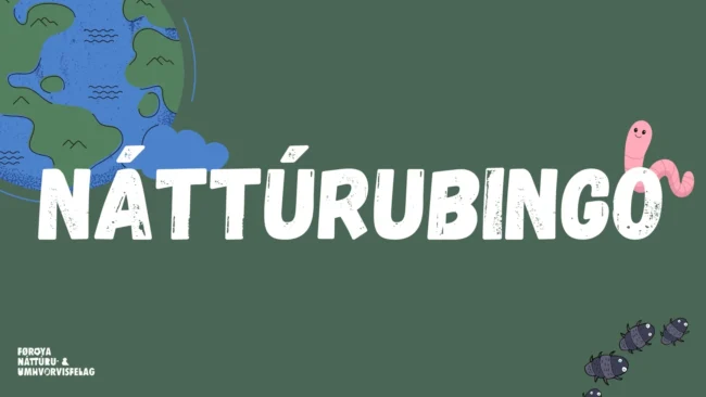NÁTTÚRUBINGO NÁTTÚRUBINGO
