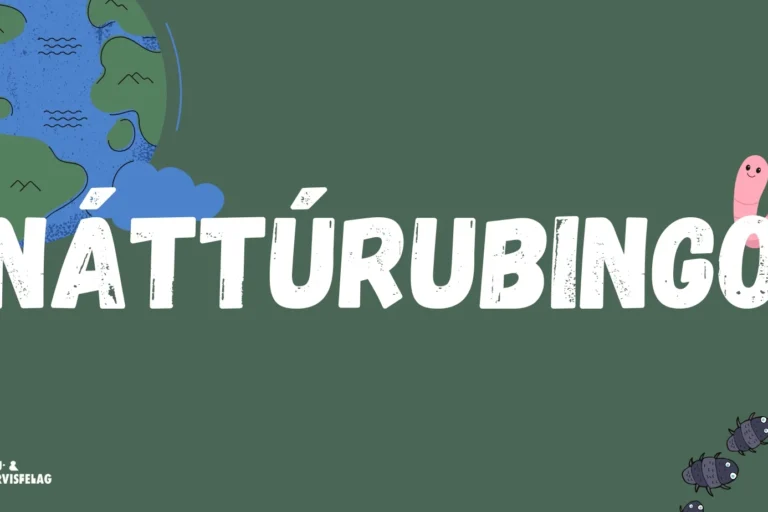 NÁTTÚRUBINGO NÁTTÚRUBINGO