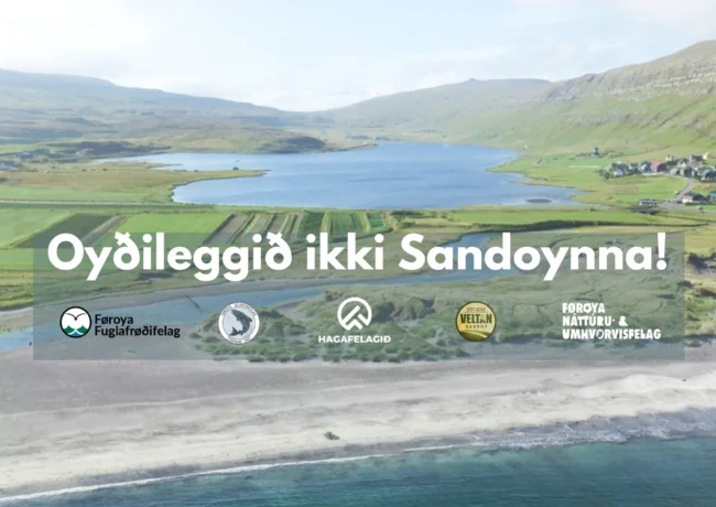 Allir náttúrufelagsskapirnir við felags áheitan Allir náttúrufelagsskapirnir við felags áheitan