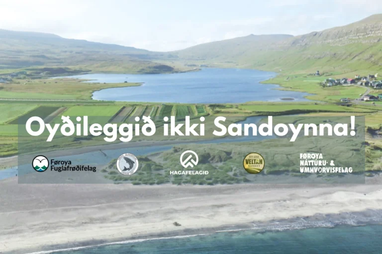 Allir náttúrufelagsskapirnir við felags áheitan Allir náttúrufelagsskapirnir við felags áheitan