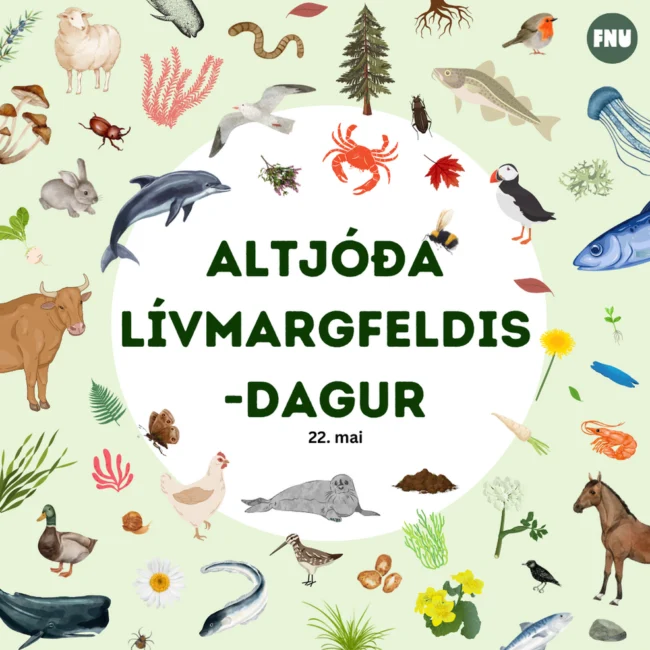 Altjóða lívmargfeldisdagur 2023 Altjóða lívmargfeldisdagur 2023
