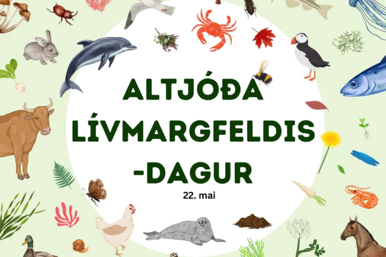 Altjóða lívmargfeldisdagur 2023 Altjóða lívmargfeldisdagur 2023