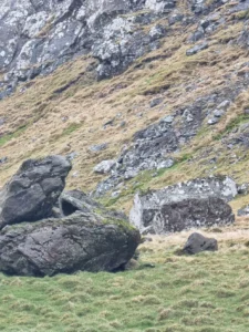 At taða ger (stóran) skaða