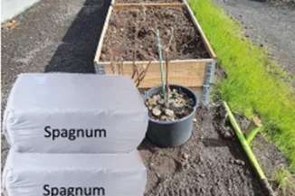 FNU mælir frá at innflyta mýrumosamold (spagnum)