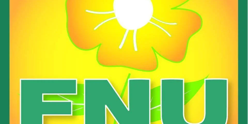 FNU FNU