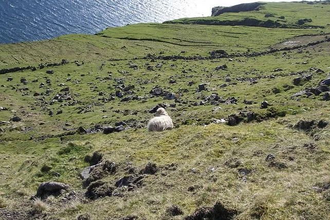 Aðalfundur og ársveitsla 18.apríl Aðalfundur og ársveitsla 18.apríl