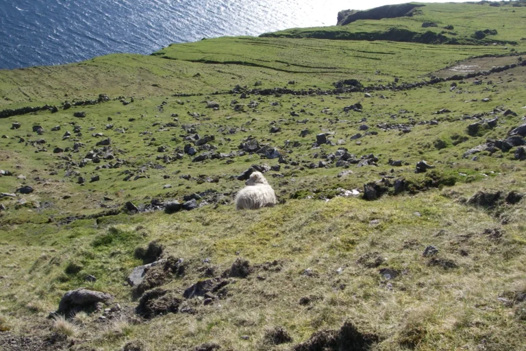 Einskiljingin av landsjørðini