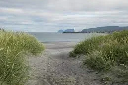Verjið Mølheggjarnar á Sandi!