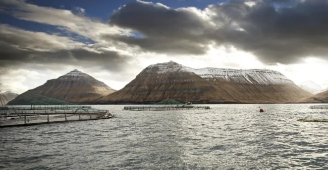 Ov fáar treytir verða settar til aling Ov fáar treytir verða settar til aling