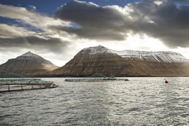 Ov fáar treytir verða settar til aling Ov fáar treytir verða settar til aling