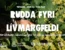 RUDDA FYRI LÍVMARGFELDI