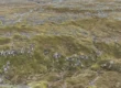 Fjallasúkklubreyt eigur at leggjast har, sum náttúran verður minst ávirkað