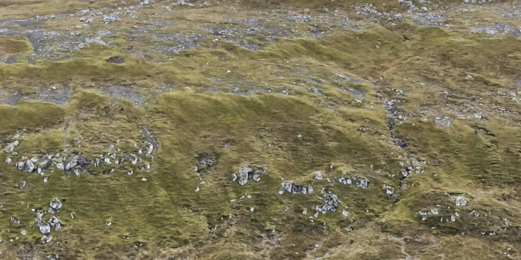 Fjallasúkklubreyt eigur at leggjast har, sum náttúran verður minst ávirkað Fjallasúkklubreyt eigur at leggjast har, sum náttúran verður minst ávirkað